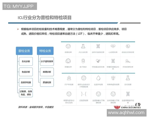 上海羽毛球队技术争议引发热议球员表现与战术选择的深度探讨 上海羽毛球队技术争议引发热议球员表现与战术选择的深度探讨
