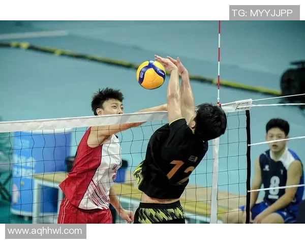 重庆排球队转型之路揭秘大师赛特别报道展现新风貌与挑战